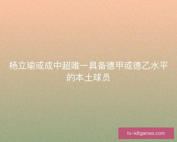 杨立瑜或成中超唯一具备德甲或德乙水平的本土球员