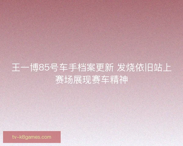 王一博85号车手档案更新 发烧依旧站上赛场展现赛车精神